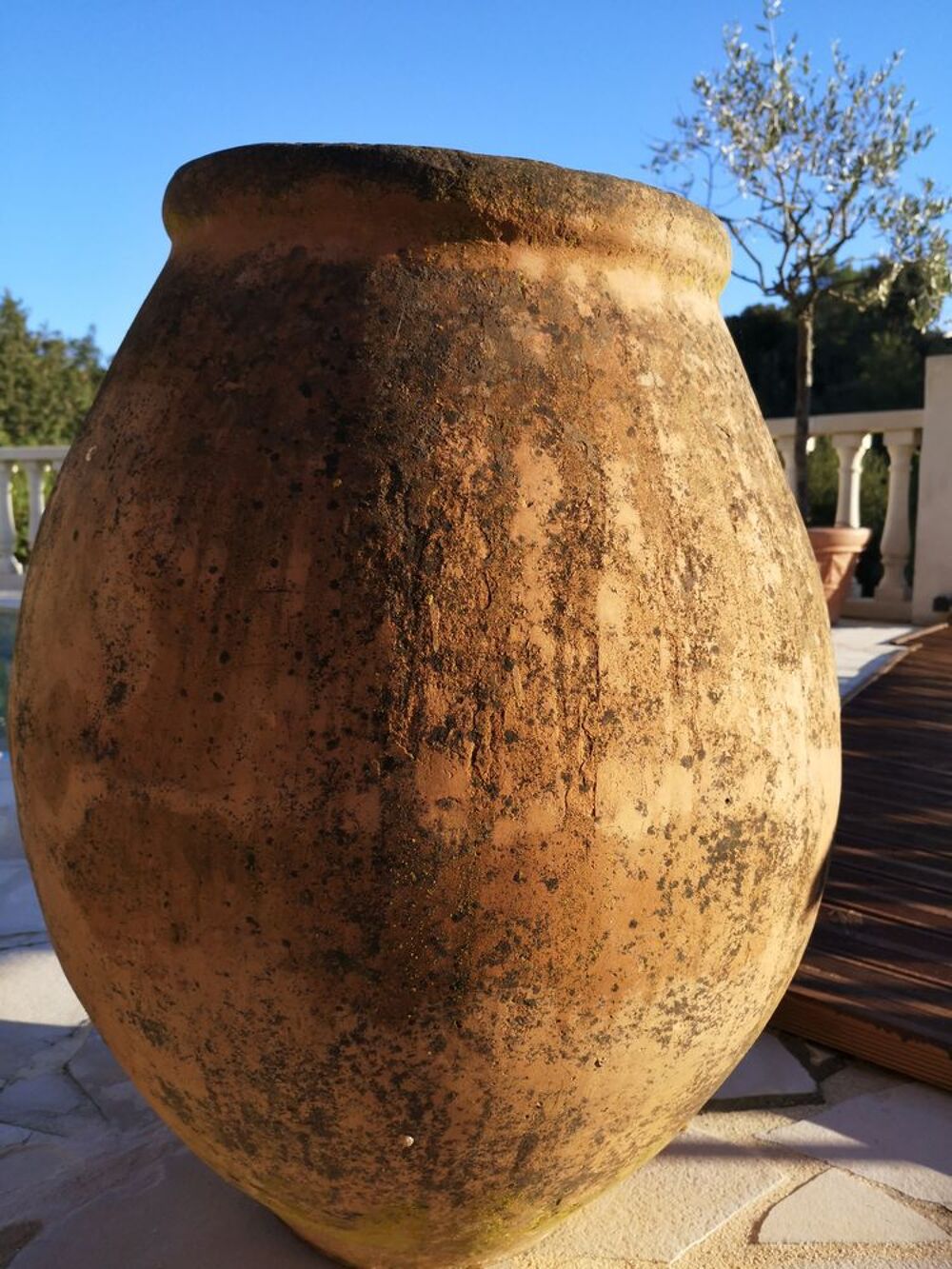 Les jarres de Biot Jardin