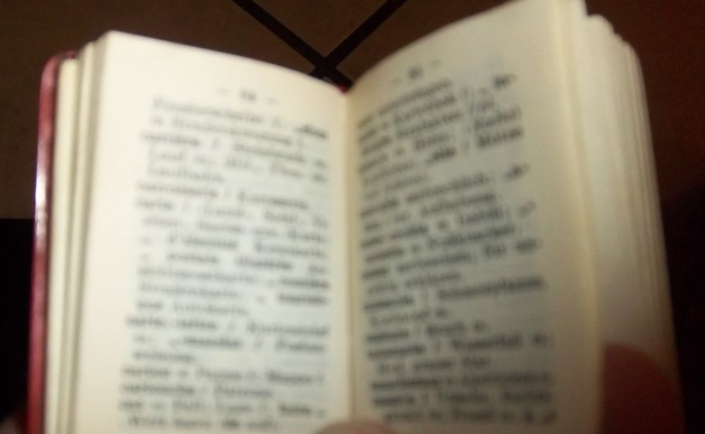 Dictionnaire LILLIPUT Fran&ccedil;ais Allemand Livres et BD