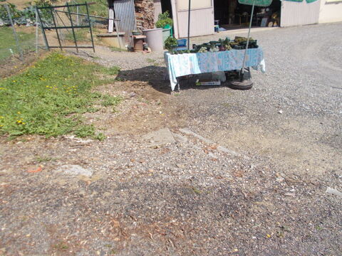 L�gumes fraichement cueillis 1 Pavie (32)