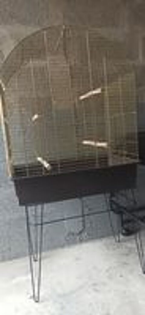   Jolie cage oiseaux  