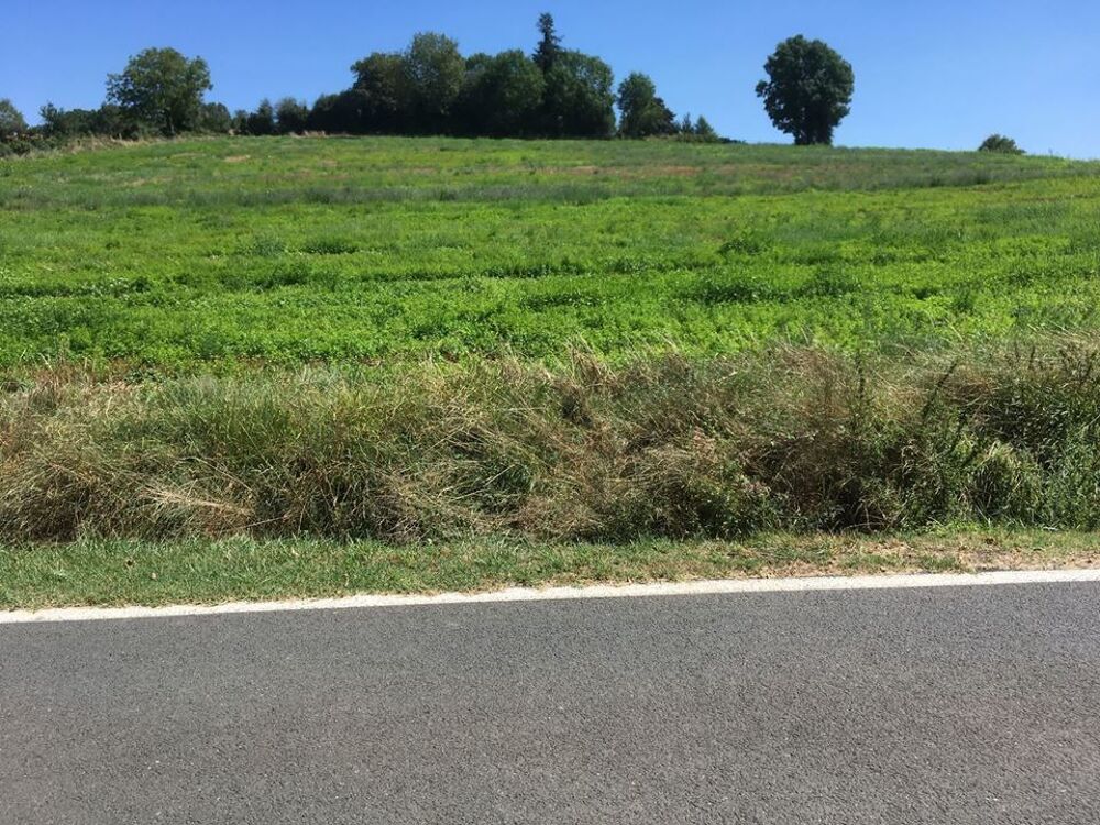 Vente Terrain Terrain - 5792m ² Le fraysse