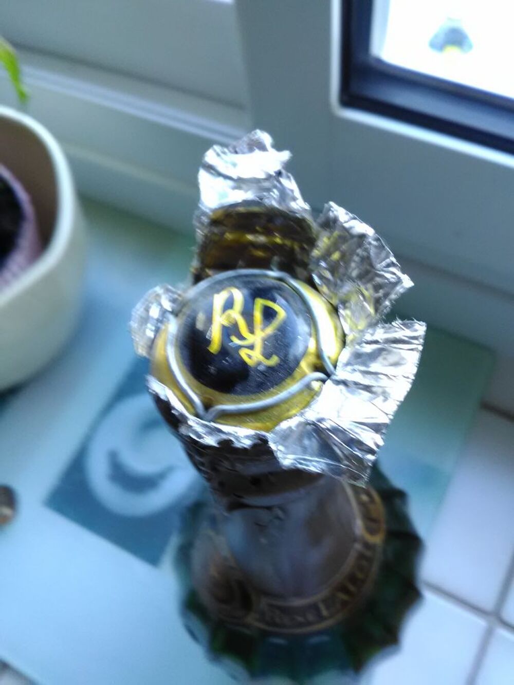 bouteille champagne vide ann&eacute;e 1976 et capsule 