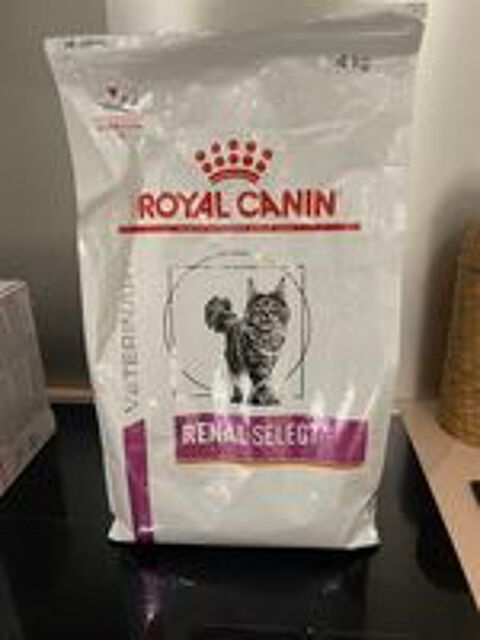   croquettes renal ROYAL CANIN pour chat 