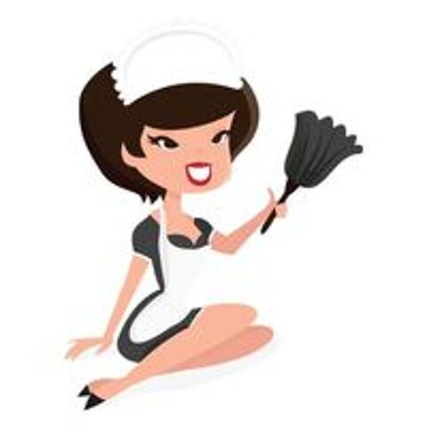   cherche femme de ménage 
