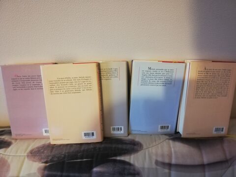 Virginia C.Andrews 5 Tomes ''La famille Logan'' 13.5 Douvres-la-Dlivrande (14)