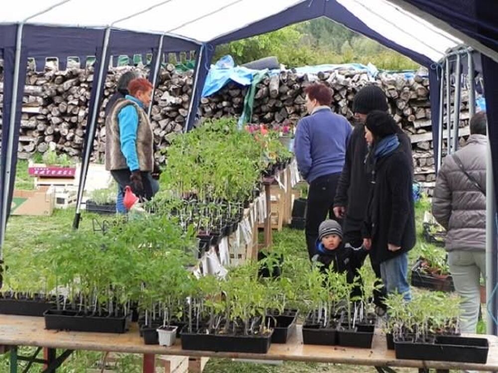 Plantes, fleurs et plants de l&eacute;gumes Jardin