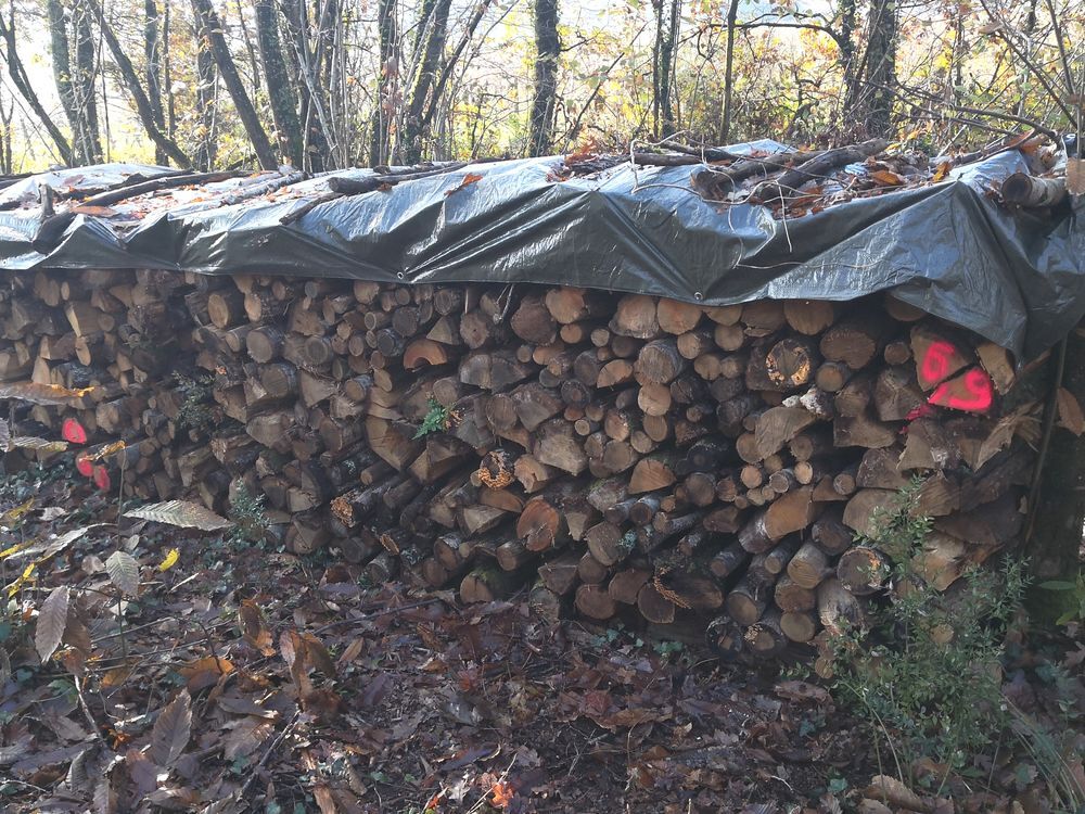 Bois de chauffage Jardin