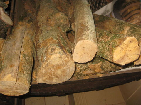 B�ches de buis pour tournage, sculpture, etc
40 Olmet-et-Villecun (34)