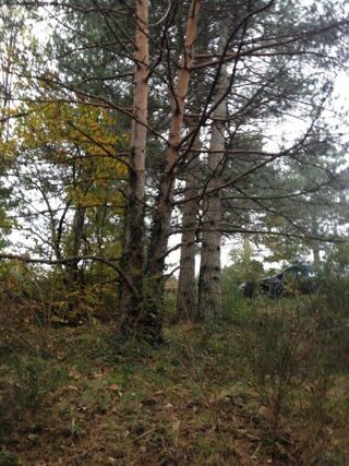  Terrain à vendre 5000 m²