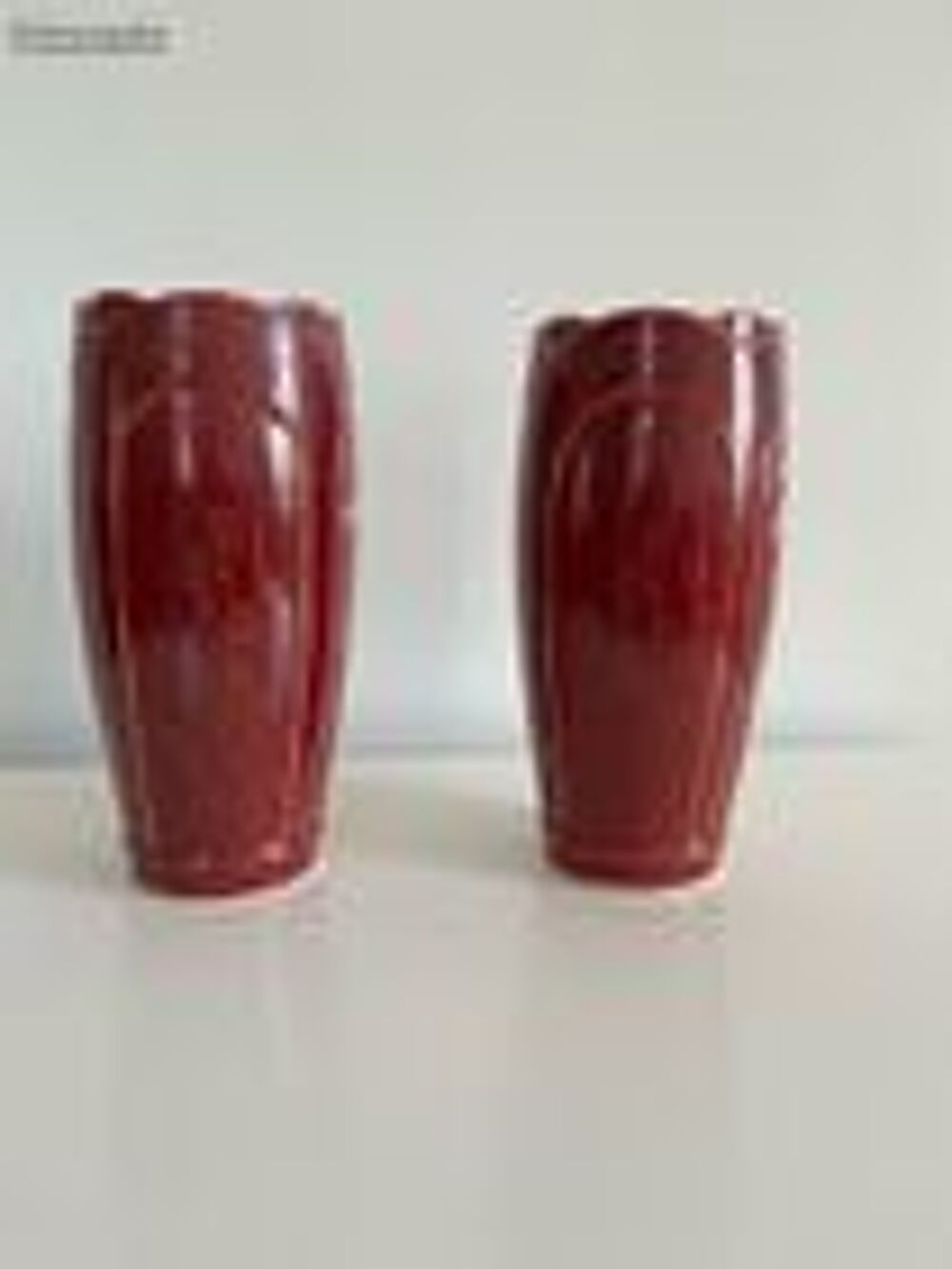 Lot de 2 vases Bruyn Décoration