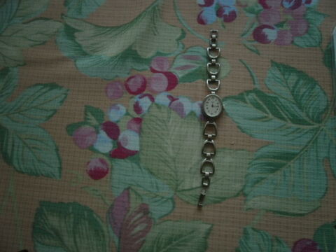 montre en argent femme 110 Poitiers (86)