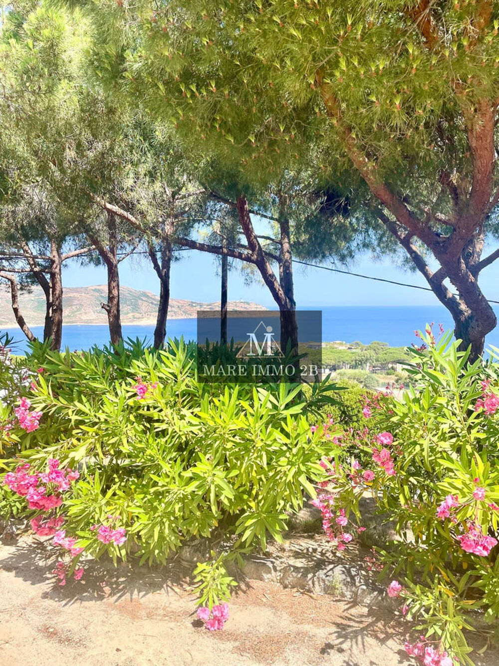 Vente Appartement 2 pièces avec vue mer Calvi