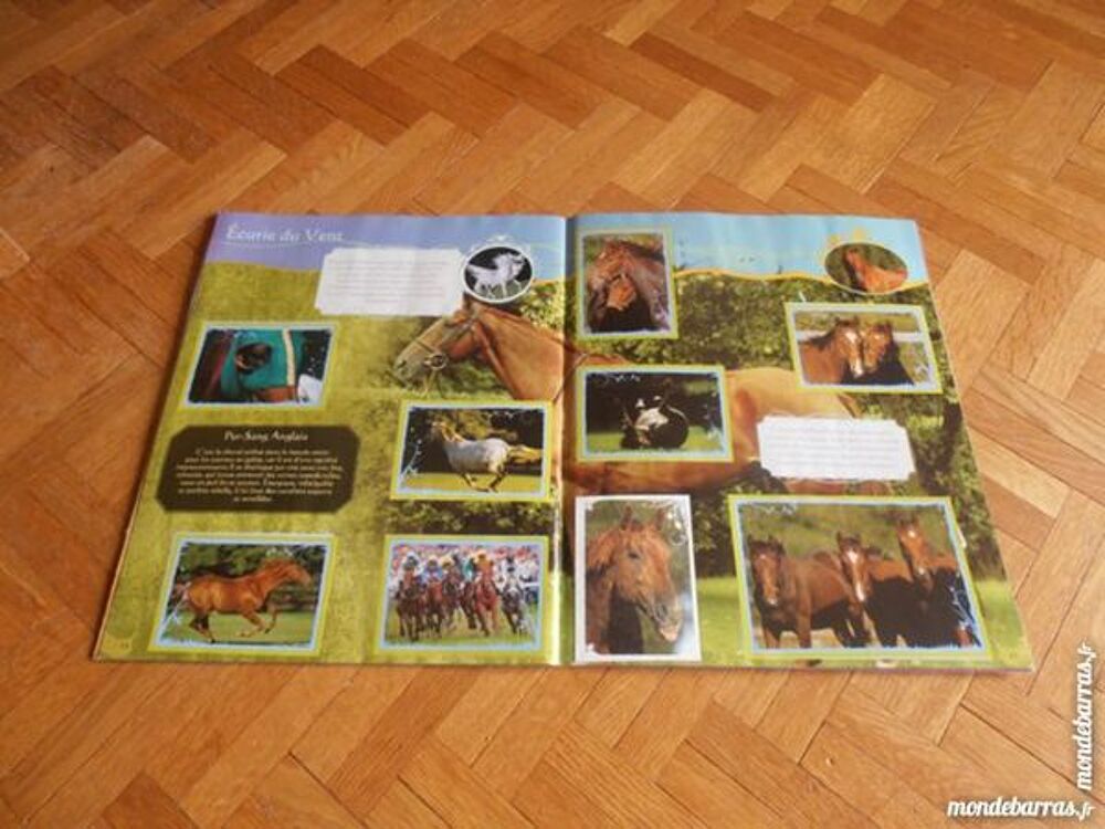 Album chevaux 1 (76) 