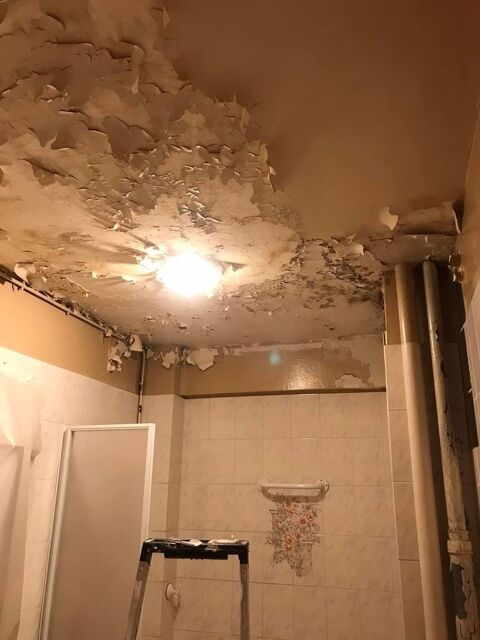 Peintre 0 13007 Marseille