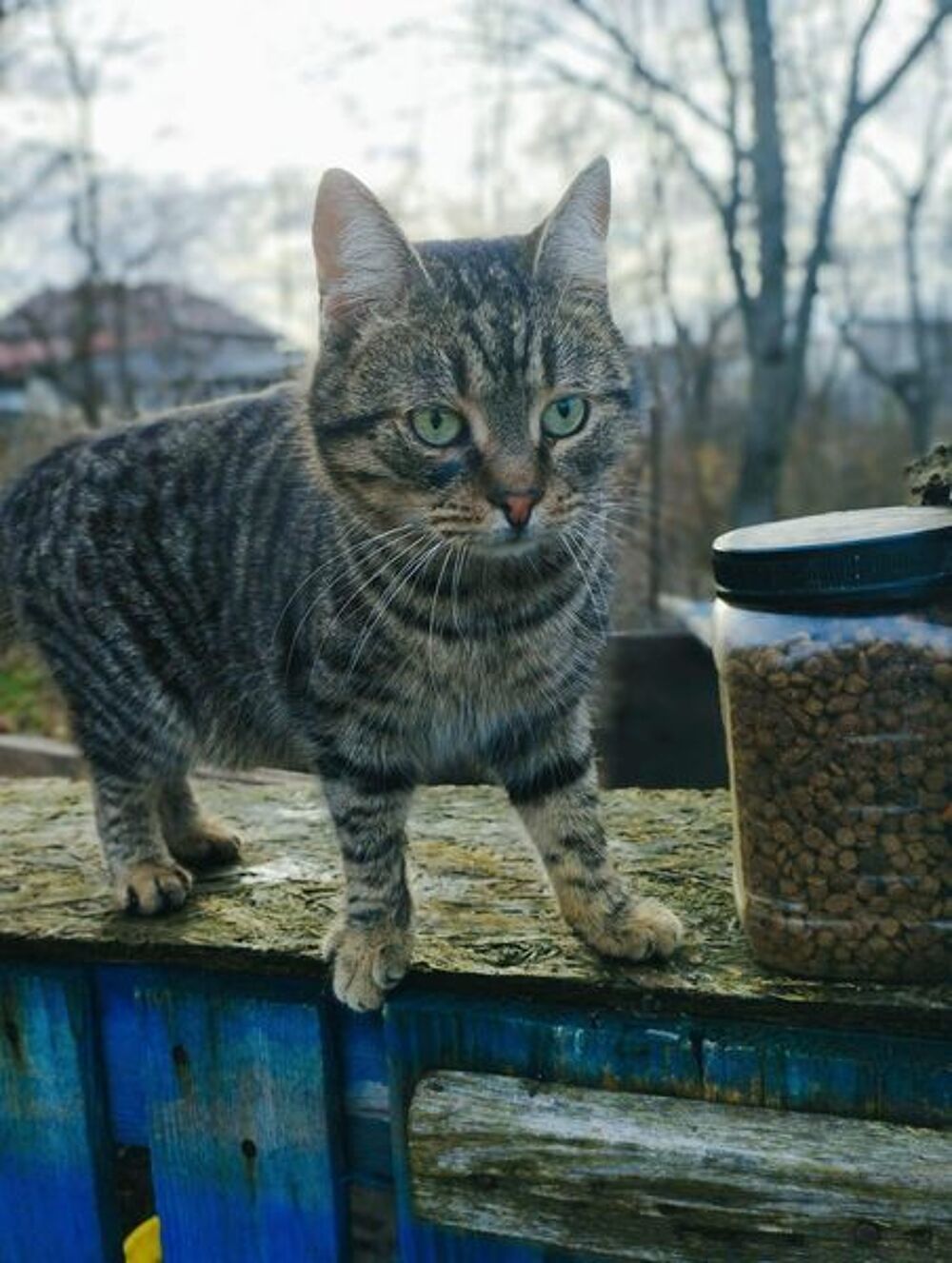   O'MALLEY 