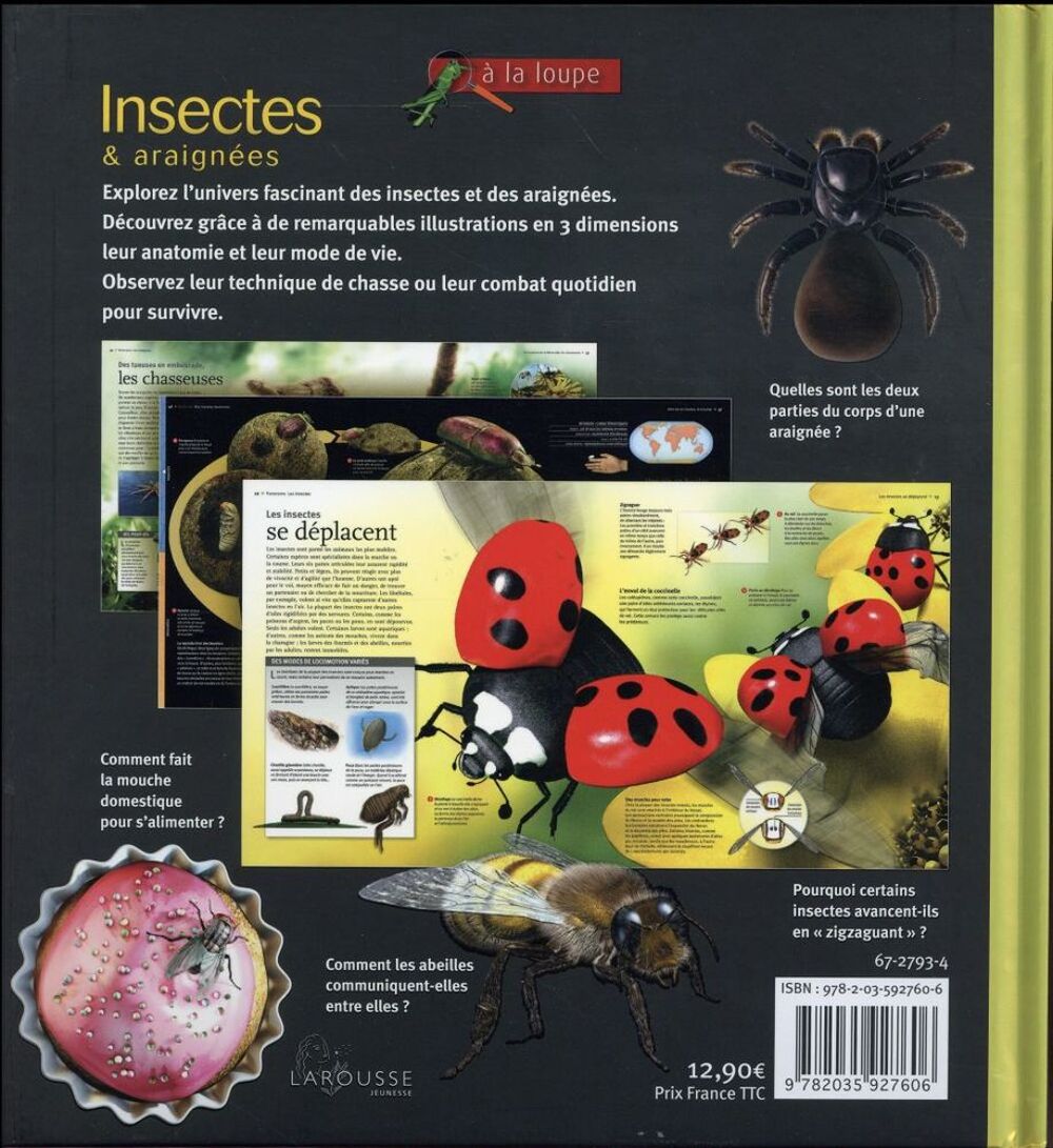 Les insectes et araign&eacute;es Livres et BD
