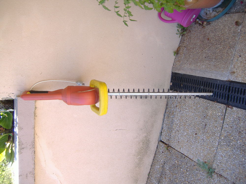 taille haie Jardin
