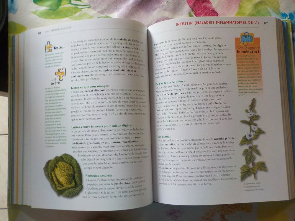 1001 REMEDES MAISON Des solutions simples pour une bonne san Livres et BD