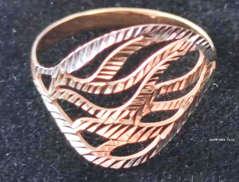 bague 150 Concarneau (29)