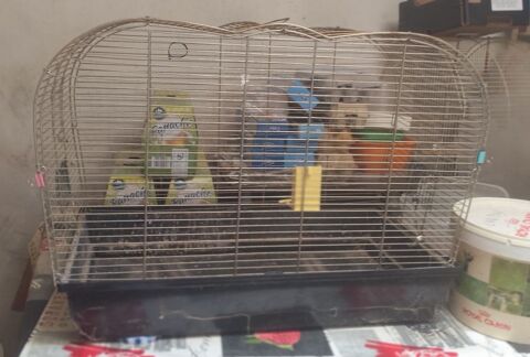 grande cage 35 72270 Bousse