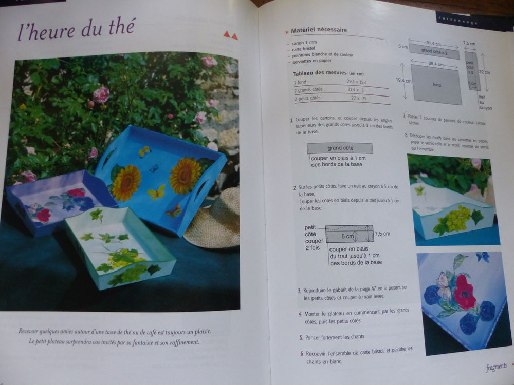 CARTONNAGE ET SERVIETTES EN PAPIER Livres et BD