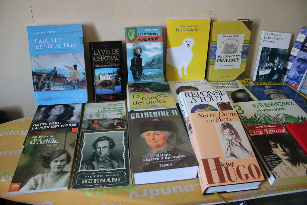 lot de 45 livres occasion Livres et BD