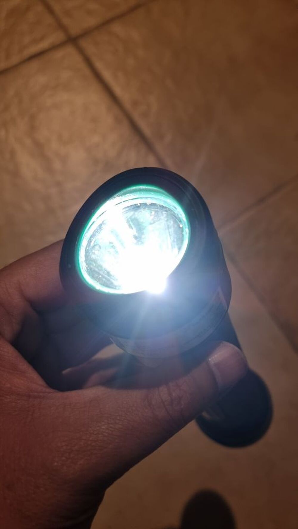 Lampe Torche Parkside - Baladeuse orientable et aimant&eacute;e - N Bricolage