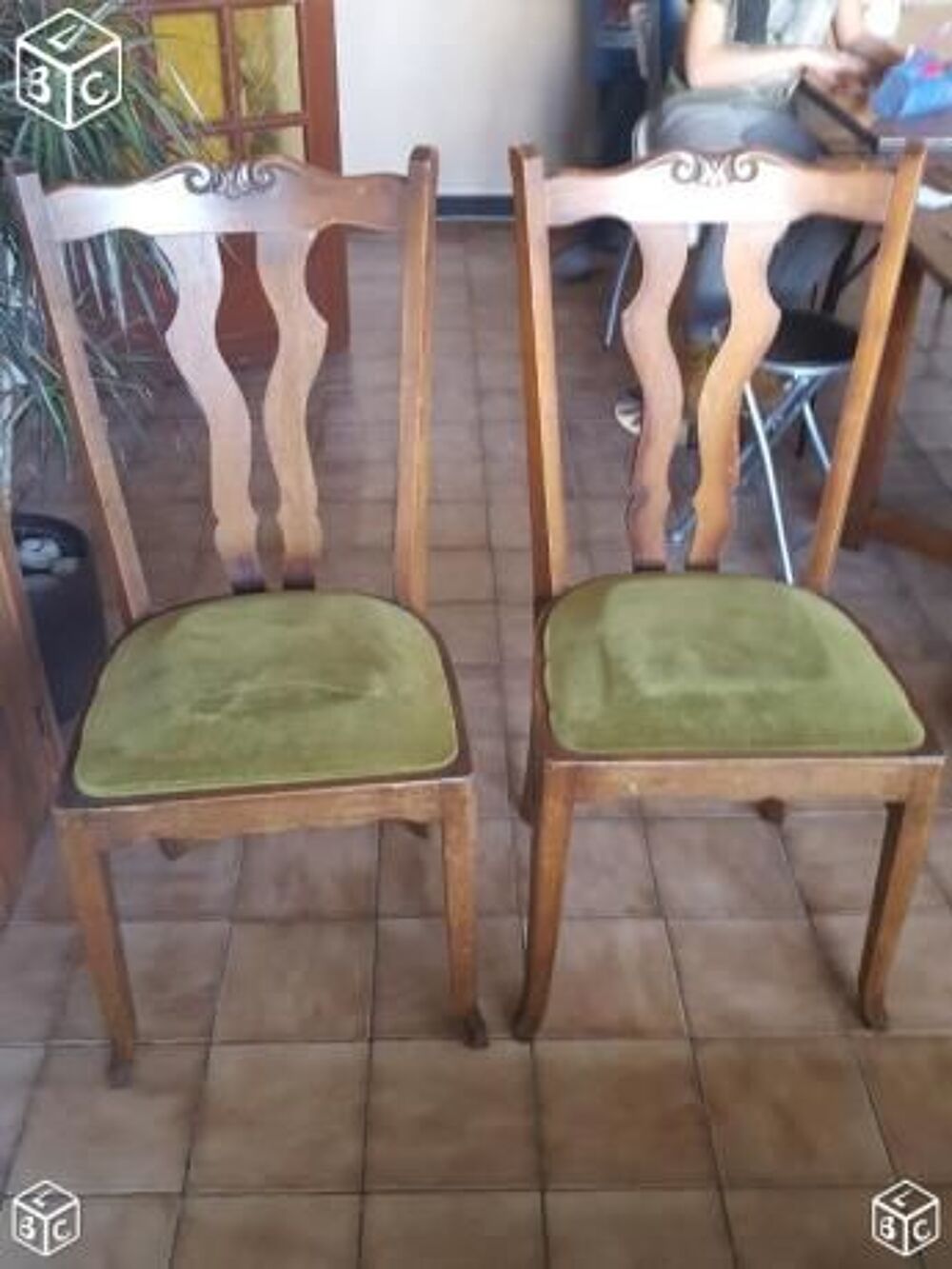 Chaise en bois pour salon Meubles