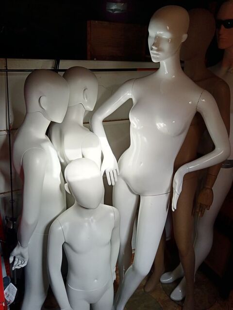 Mannequins plusieurs tailles 95 Rennes (35)