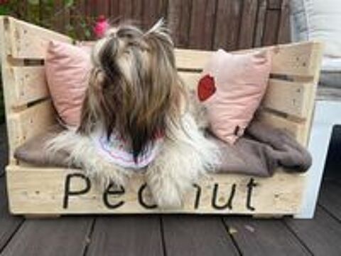   Canap pour chien ? Confort & style  petit prix 