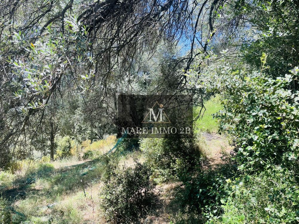 Vente Terrain terrain constructible  de 1985m² Zilia