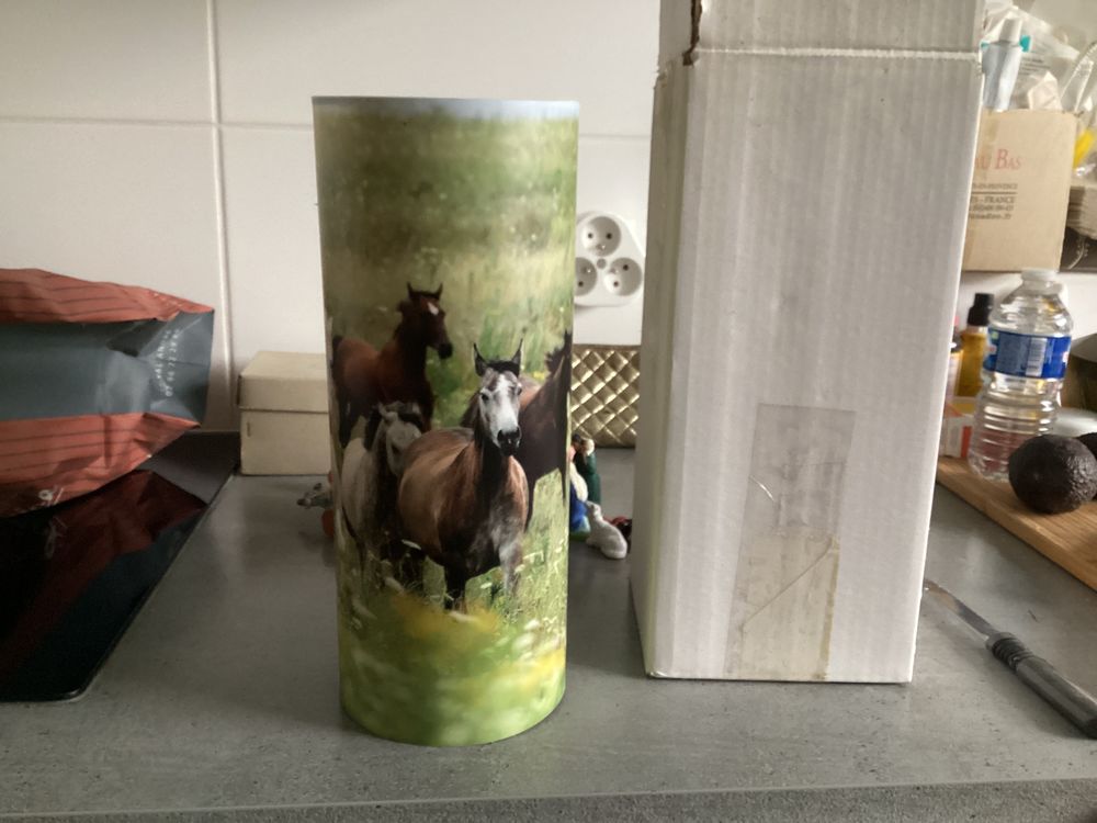 LAMPE DE CHEVET chevaux ,rare et totalement neuve Décoration