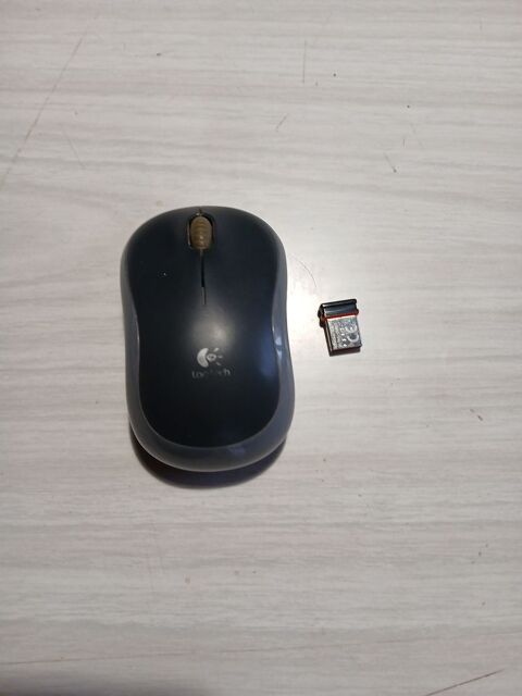 Souris d'ordinateur Cugnaux (31)
