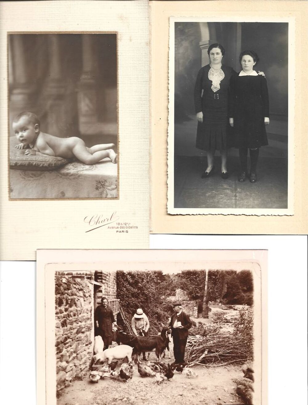 Lot de 21 photographies et portraits anciens / cartonn&eacute;s 