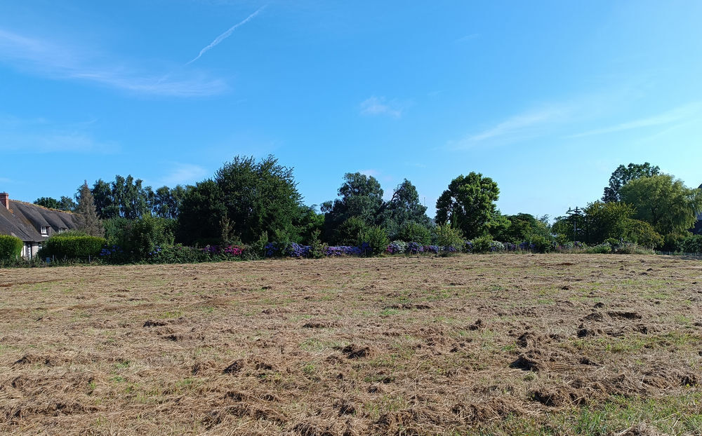 Vente Terrain NEVILLE, TERRAIN 1.055 m2 Néville