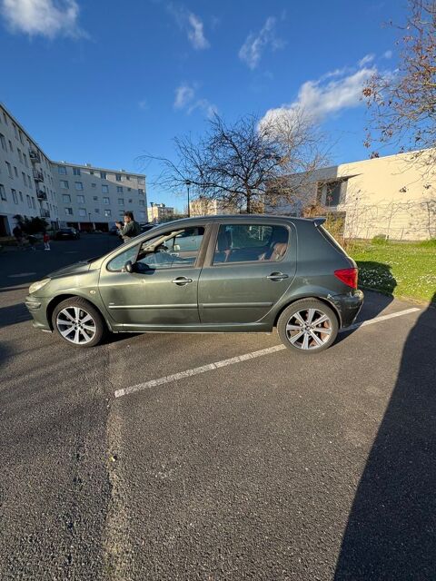 Peugeot 307 2.0e 16V 180 Féline