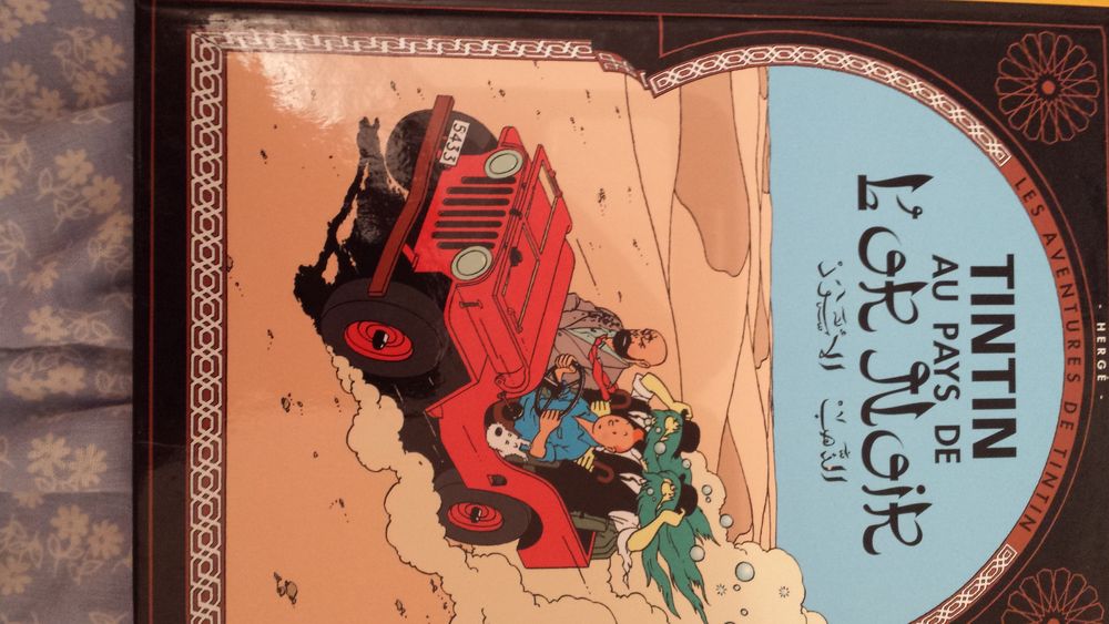 MINI BD TINTIN AU PAYS DE L'OR NOIR Livres et BD