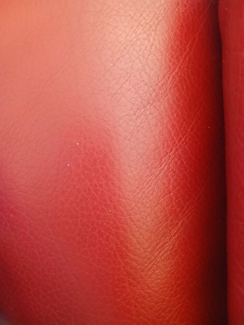 fauteuil cuir Bordeaux pr&eacute;s de thionville. Meubles