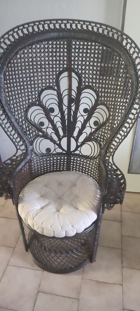 Fauteuil rotin Emmanuelle 350 Hantay (59)