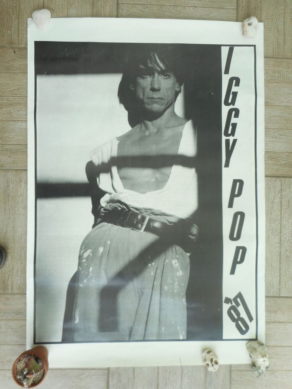 Affiche poster de Iggy Pop 