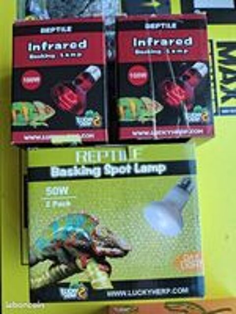   Lot de 9 Ampoules Chauffantes pour Reptiles 