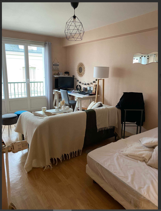  Appartement à louer 1 pièce 30 m²