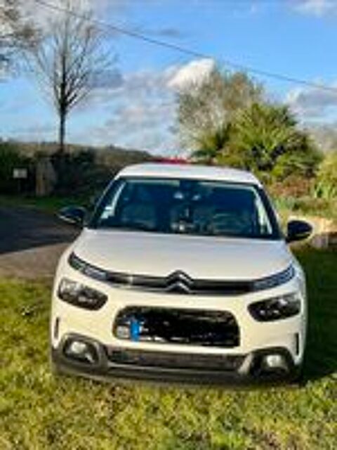 C4 cactus C4 Cactus BlueHDi 120 S&S EAT6 Shine Business 2019 occasion 29510 Langolen