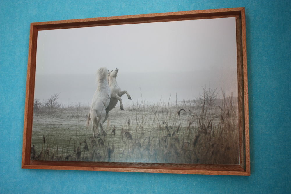 cadre avec photo de chavaux dans la brume Décoration