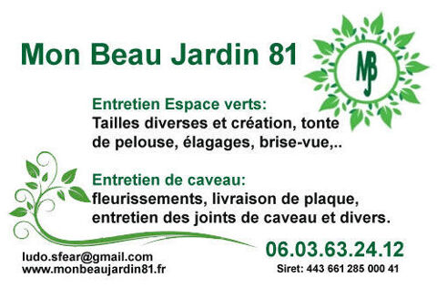 Jardinier muti-services  0 81400 Blaye-les-mines