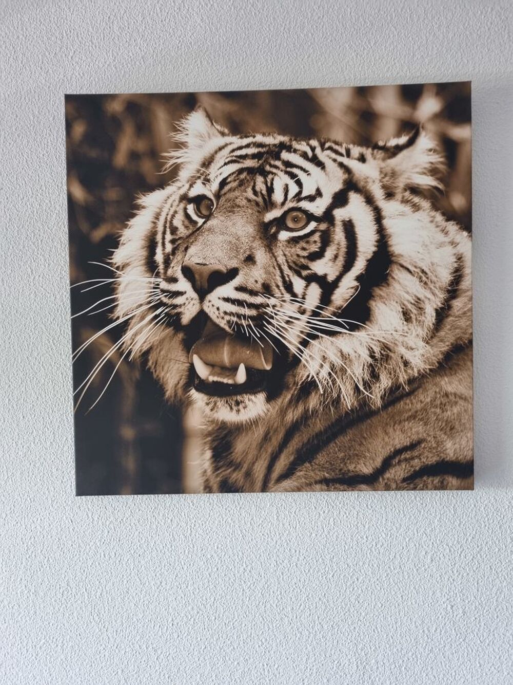 TABLEAU PHOTO TETE DE TIGRE Décoration