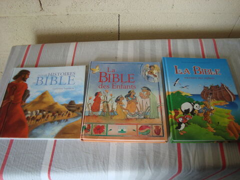3 livres BIBLE pour enfants 9 Villevque (49)