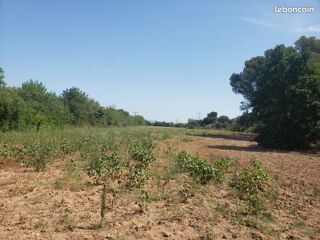  Terrain � vendre 22800 m�