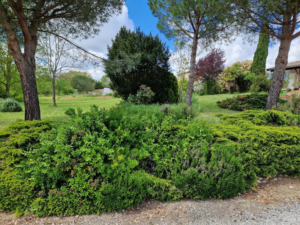 Vente Terrain Terrain d'exception de 1 072 m² sur les hauteurs d'Aureville Aureville