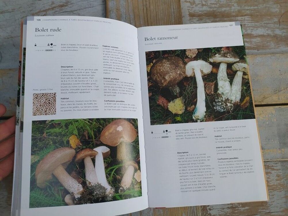 Livre Delachaux et Niestl&eacute; Les Champignons dans la Nature 
Livres et BD